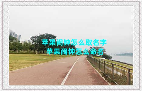 苹果闹钟怎么取名字 苹果闹钟怎么命名